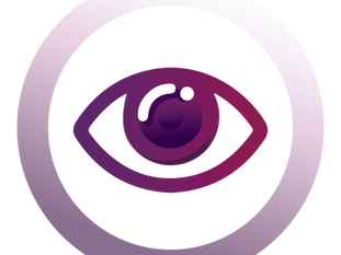 Vision