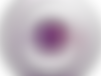 Vision